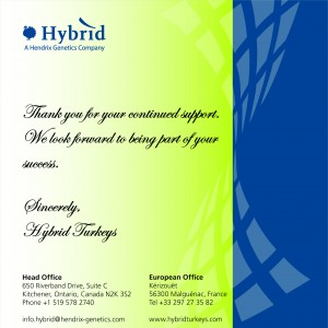 Sample 3 - Continued Support